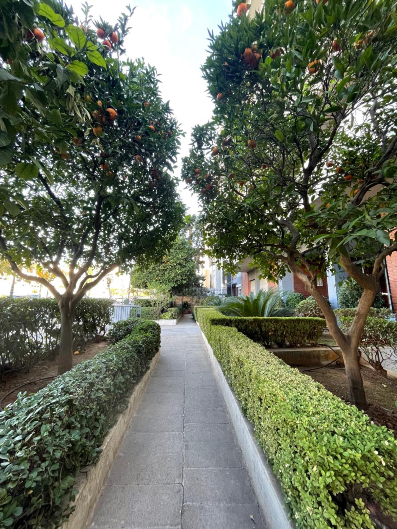 Cozy Apartment Ideally Located City Center And Megaron Moussikis Metro Station Athena Bagian luar foto